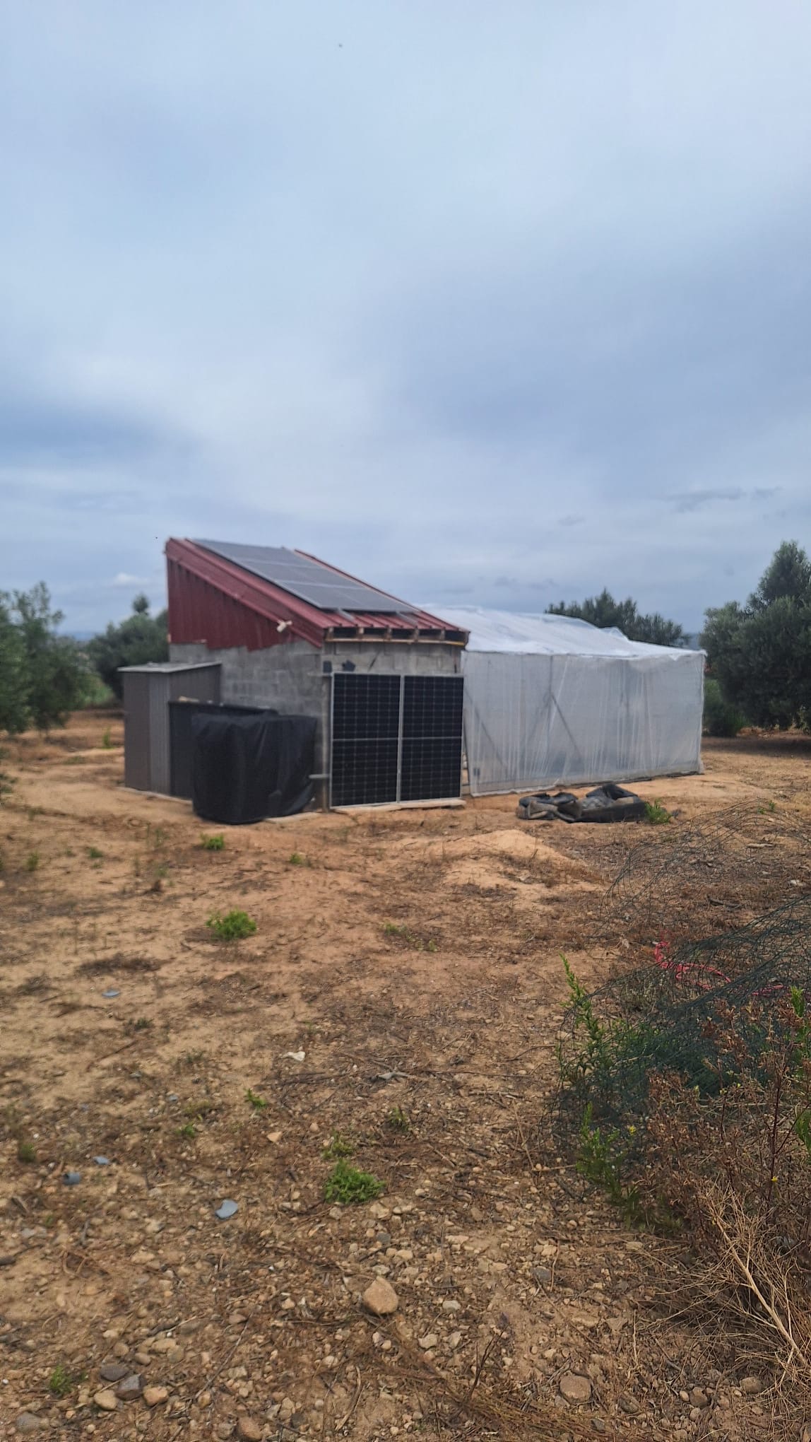 "Little Green" a second attempt at a high tech greenhouse